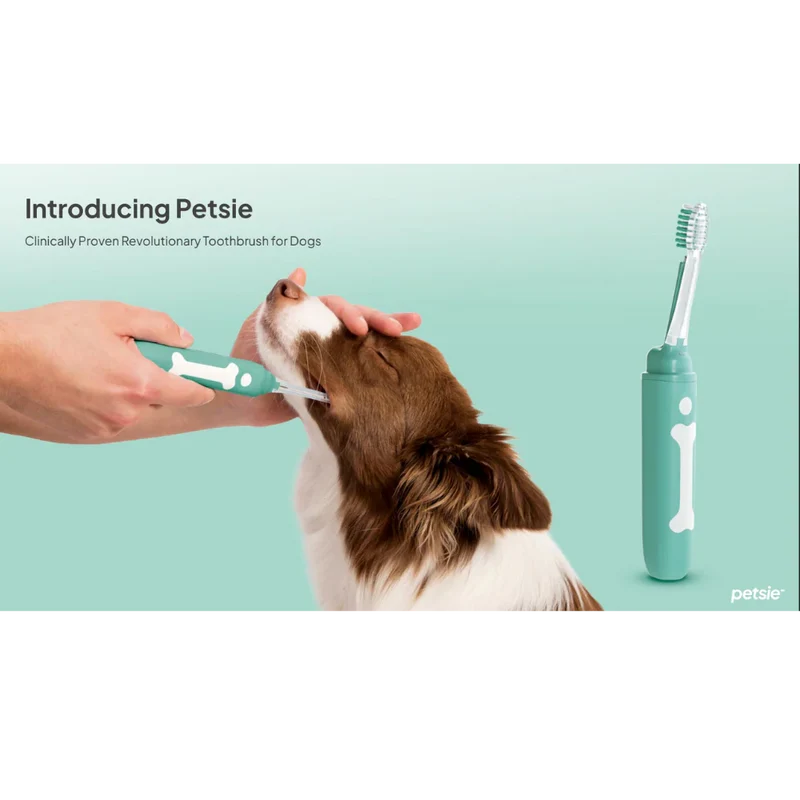 Petsie Revolutionary Electrolysis Dog Toothbrush