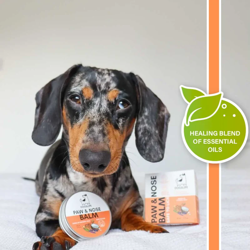 OurDogsLife Paw & Nose Balm for Dogs 60ml
