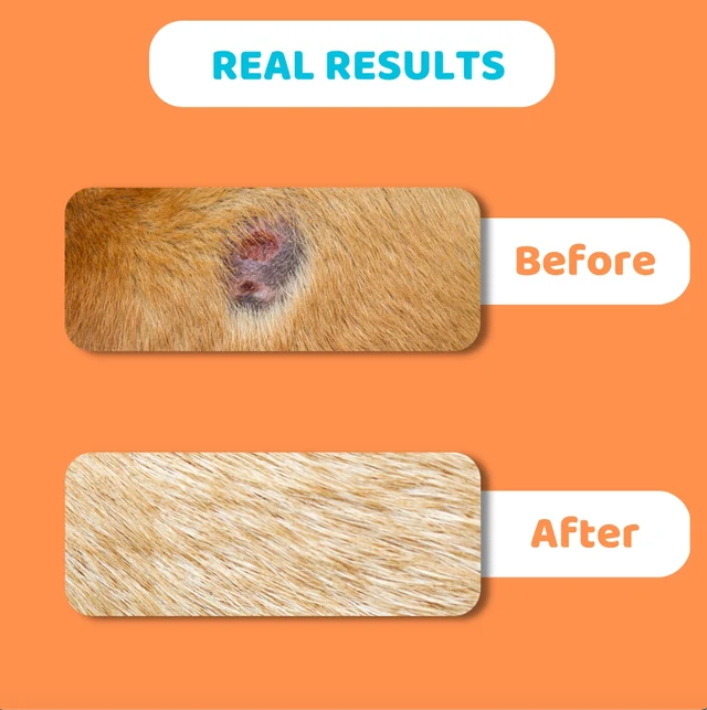 OurDogsLife Itch Skin Balm for Dogs 60ml