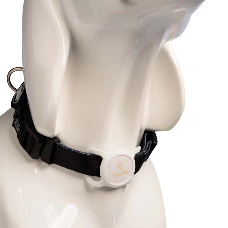 Regalia Dog ID Tag Silicone Holder
