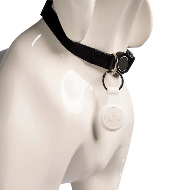 Regalia Cat ID Tag Tracker