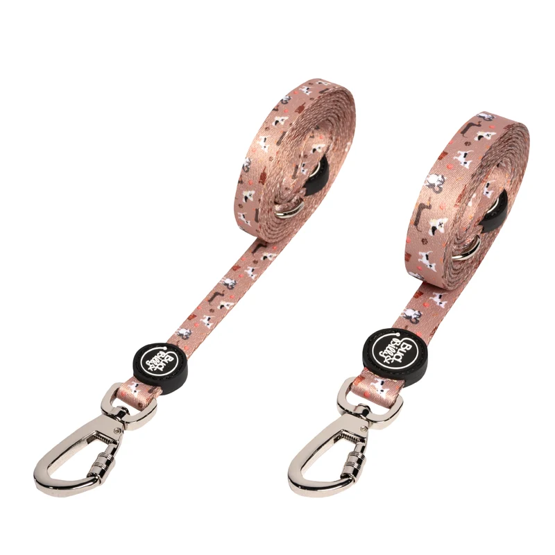 Bud & Billy Dog Park Pals Dog Leash