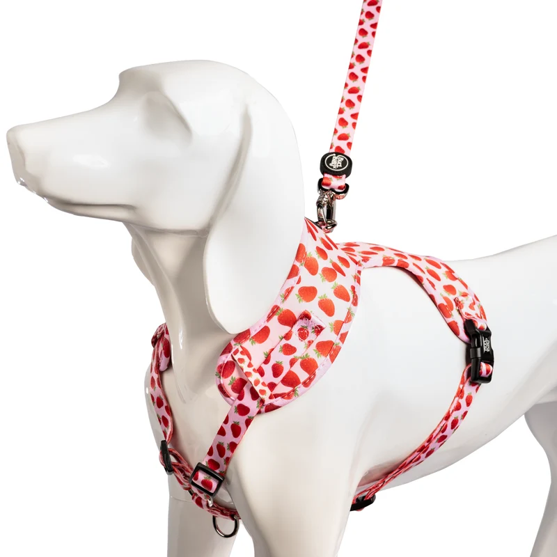 Bud & Billy Pink Berry Pop Dog Leash