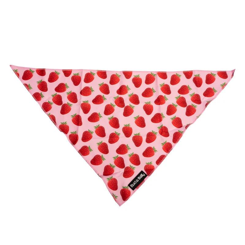 Bud & Billy Pink Berry Pop Dog Bandana