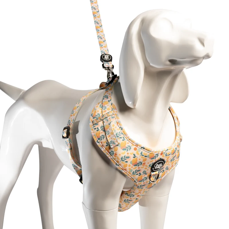 Bud & Billy Citrus Bloom Dog Leash