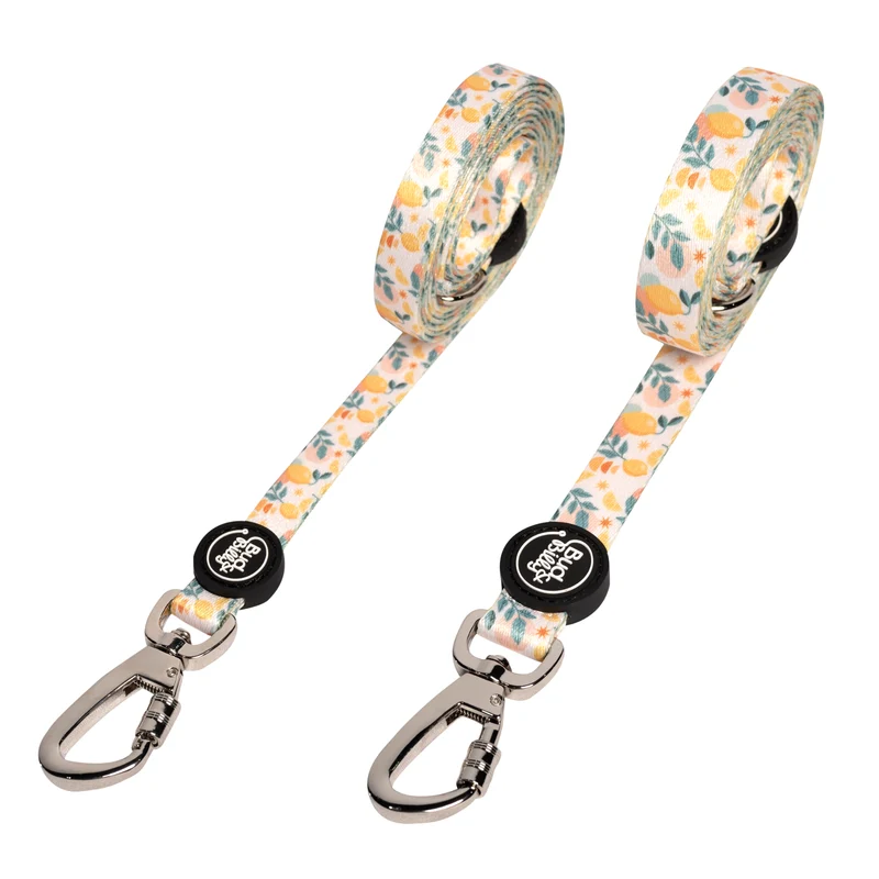 Bud & Billy Citrus Bloom Dog Leash