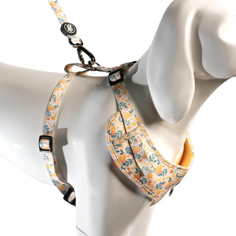 Bud & Billy Citrus Bloom Dog Vest Harness