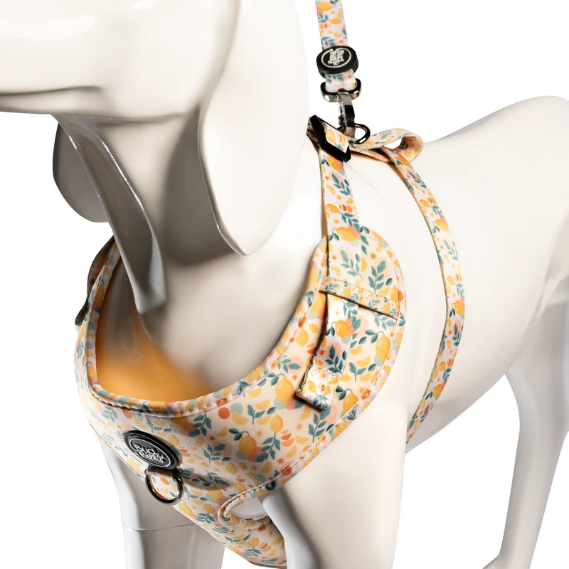 Bud & Billy Citrus Bloom Dog Vest Harness