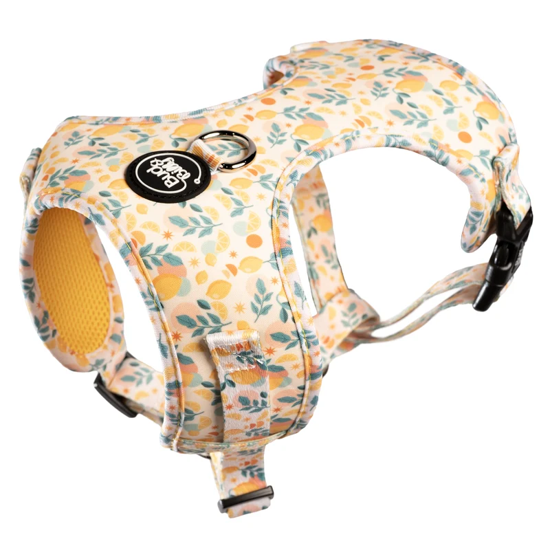 Bud & Billy Citrus Bloom Dog Vest Harness
