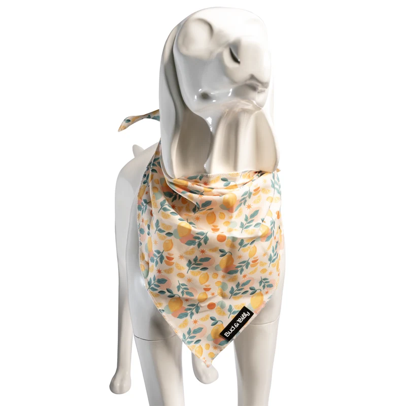 Bud & Billy Citrus Bloom Dog Bandana