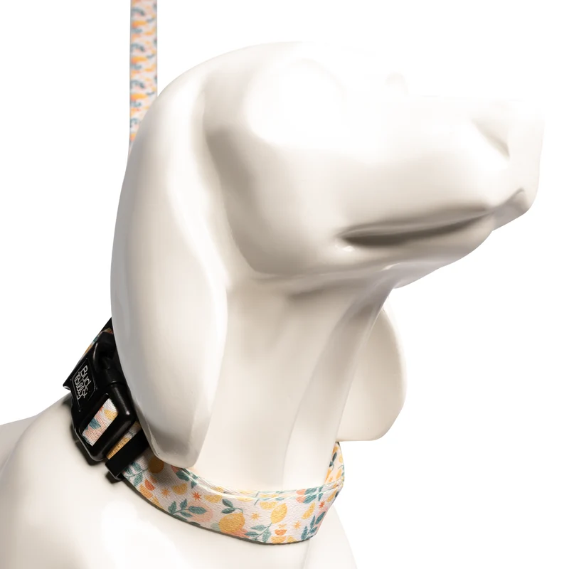 Bud & Billy Citrus Bloom Dog Collar