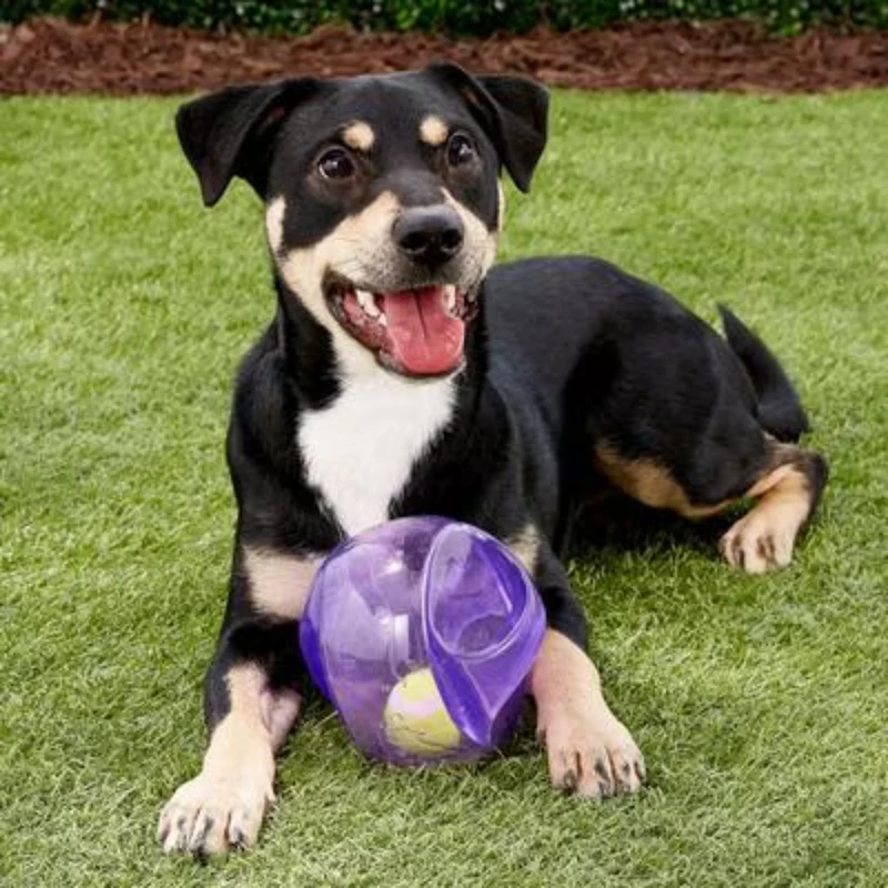 Kong 2-in-1 Jumbler Ball Dog Toy