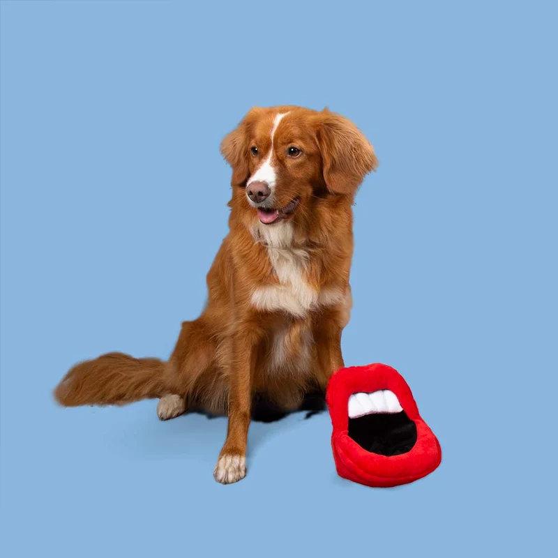 Ebi Coockoo Happy Hangry Cuddle Dog Toy Red 17x18x18cm