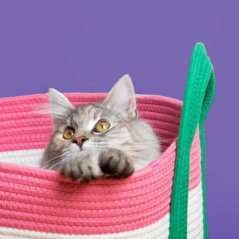 D&D Home Binge Basket Cat Bed