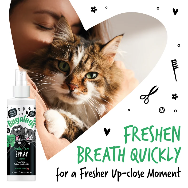 Bugalugs Dental Care Spray In Fresh Mint For Dogs & Cats 200ML