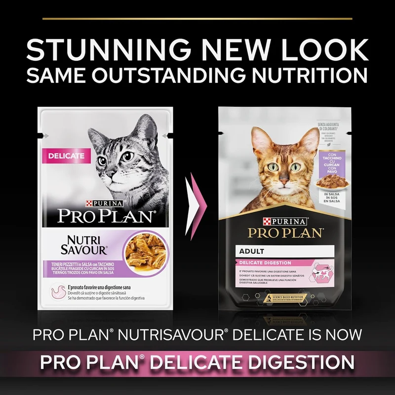 Purina Pro Plan Delicate Digestion Turkey in Gravy Wet Cat Food 85G - Pack of 10