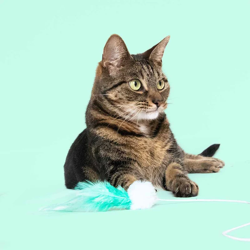 Ebi Coockoo Tilly Tickle Telescopic Cat Rod Chase Toy - Green/40x4x4cm