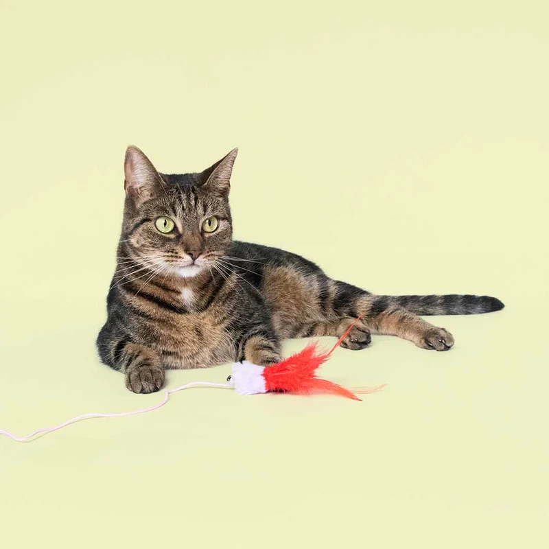 Ebi Coockoo Tilly Tickle Telescopic Cat Rod Chase Toy - Red/40x4x4cm