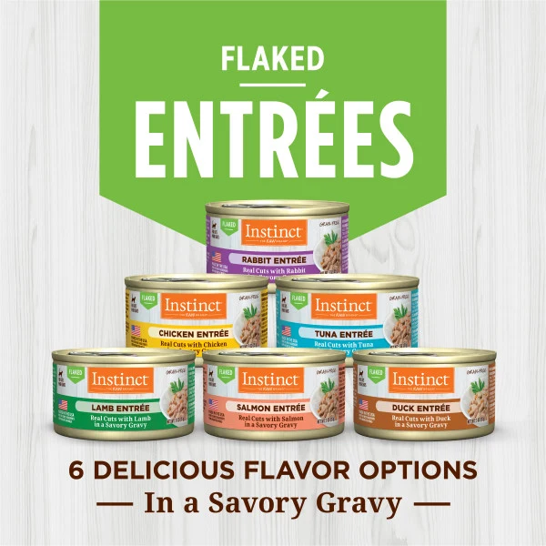 Instinct Flaked Salmon Entree Wet Cat Food 3oz