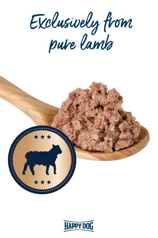 Happy Dog Pure Lamb Wet Dog Food 400G