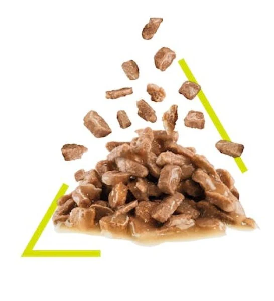 Royal Canin Feline Health Nutrition Sensory Smell Chunks In Gravy Cat Wet Food 85G - Pack of 12