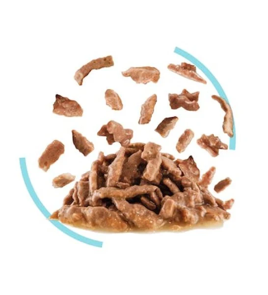 Royal Canin Feline Health Nutrition Sensory Feel Gravy Cat Wet Food 85G - Pack of 12