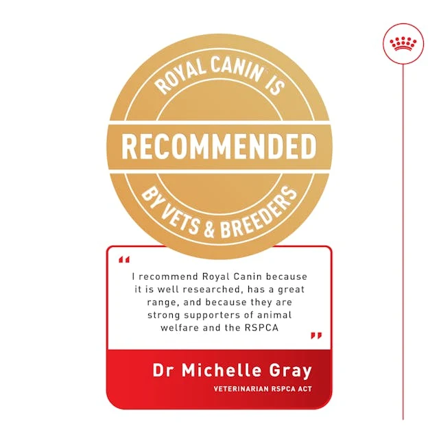 Royal Canin Ageing 12+ Chunks In Jelly Wet Cat Food 85G - Pack of 12