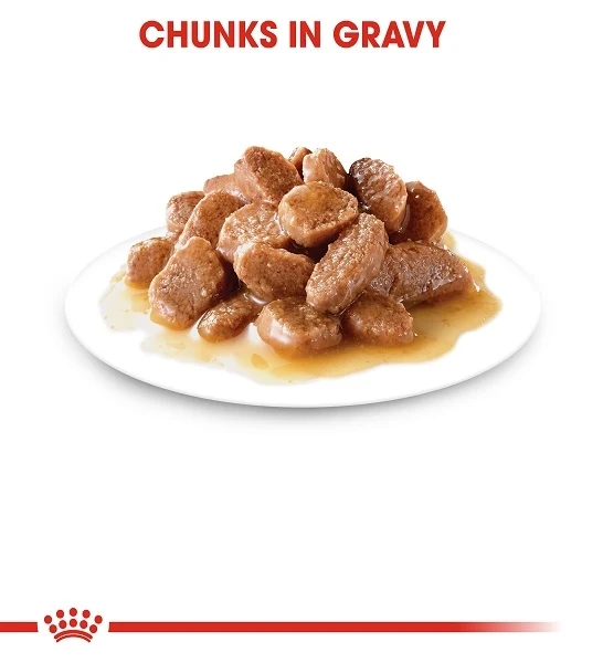 Royal Canin Ageing 12+ Adult Chunks In Gravy Wet Cat Food 85G - Pack of 12