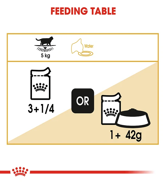 Royal Canin British Shorthair Adult Wet Cat Food 85G - Pack of 12