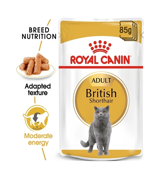Royal Canin British Shorthair Adult Wet Cat Food 85G - Pack of 12