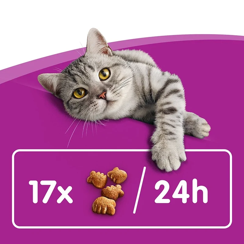 Whiskas DentaBites with Chicken Cat Treats