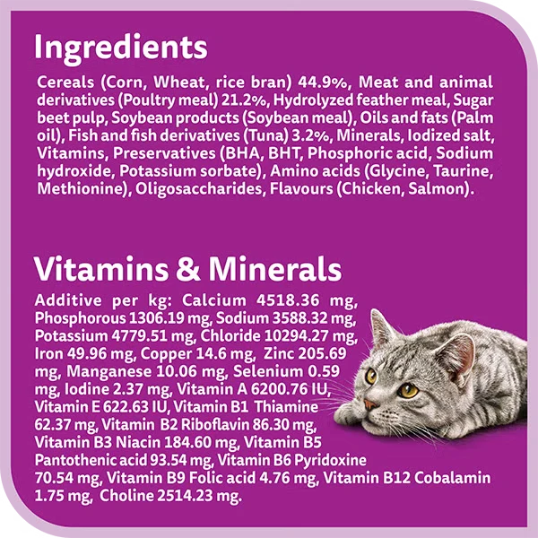 Whiskas 1+ Years Skin & Coat Chicken & Salmon Adult Dry Cat Food 1.1KG