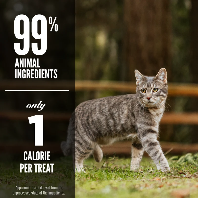 Orijen Original Freeze Dried Cat Treats 35g
