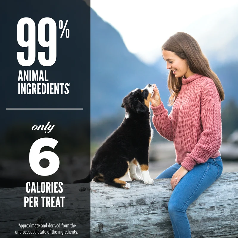 Orijen Lamb Recipe Freeze Dried Dog Treats 92g