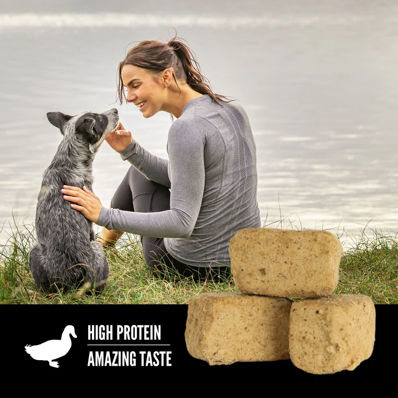 Orijen Duck Recipe Freeze Dried Dog Treats 92g