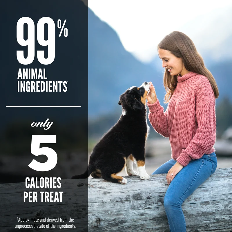 Orijen Beef Recipe Freeze Dried Dog Treats 92g