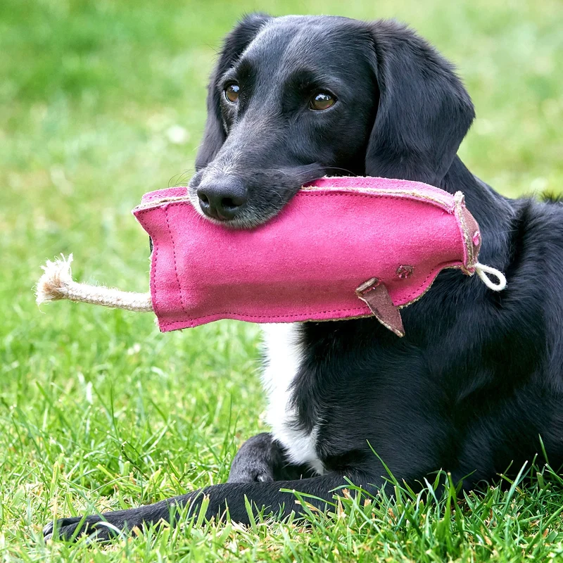 Green&Wilds Peggy the Pig Eco Dog Chew Toy
