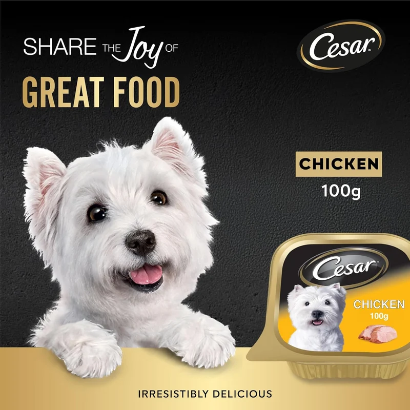 Cesar Chicken Wet Dog Food 100G