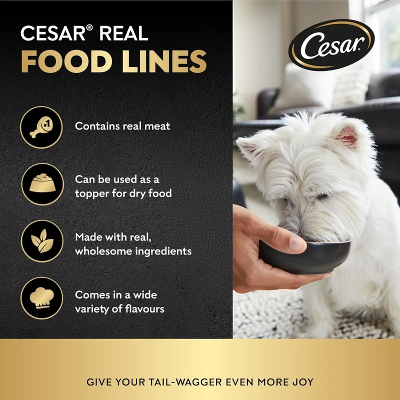 Cesar Beef 5+1 FREE Promo Pack Wet Dog Food 6X100G