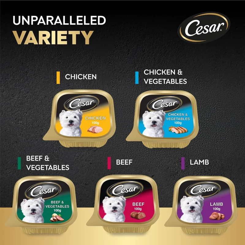 Cesar Beef 5+1 FREE Promo Pack Wet Dog Food 6X100G