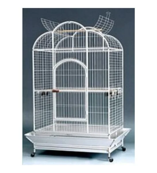 Tropical Bird Macaw Kingdom Bird Cage