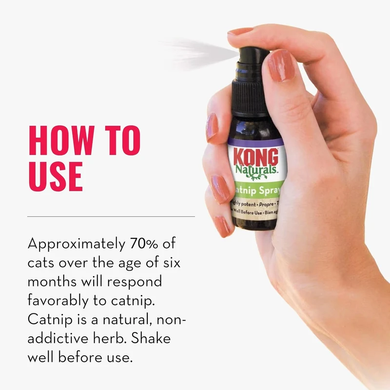 Kong Natural Catnip Spray 1Oz