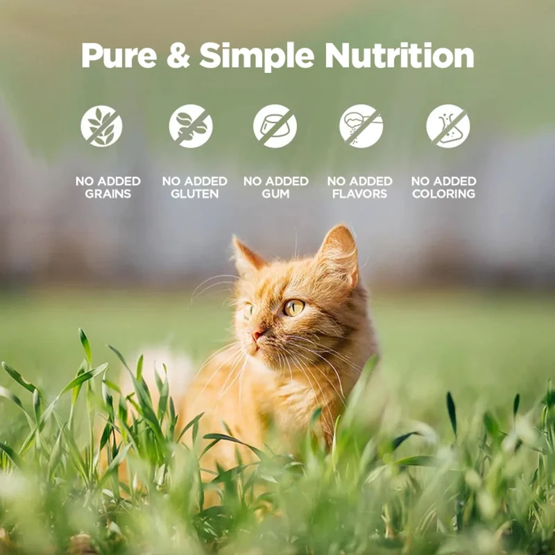 Zeal Grain Free Chicken Recipe Wet Cat Food 90G