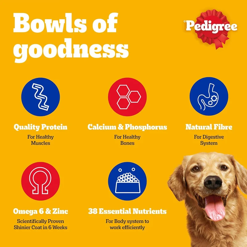Pedigree Chicken & Vegetables Adult Dry Dog Food 3KG - Pack of 10