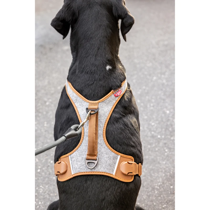 Curli The Alpine Belka Harness For Large Dogs