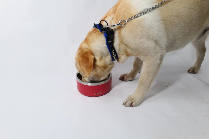 ESKIMO Double Wall Bowl Red