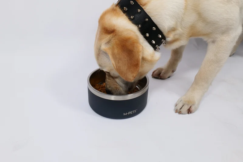 ESKIMO Double Wall Bowl Black