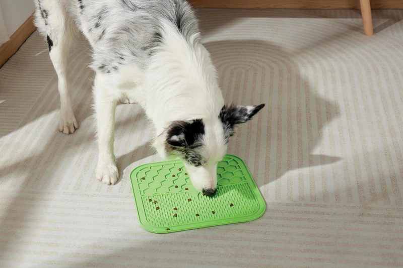 LECCA Mat Green