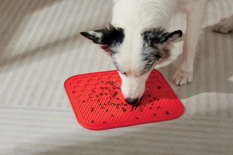 LECCA Mat Red