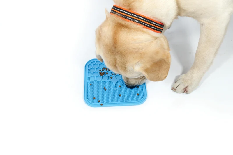 LECCA Mats Blue